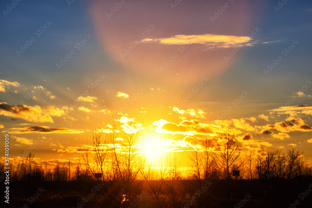 Obraz premium Bright red sunset on the background of cloudy sky and forest.