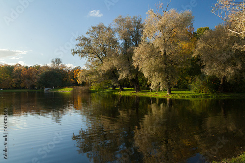 Autumn park landscape with bright trees