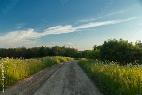 Dirty road in summer green field