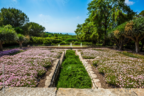 Green flowerbeds