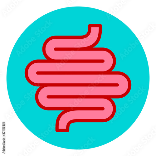 Colon gut vector icon