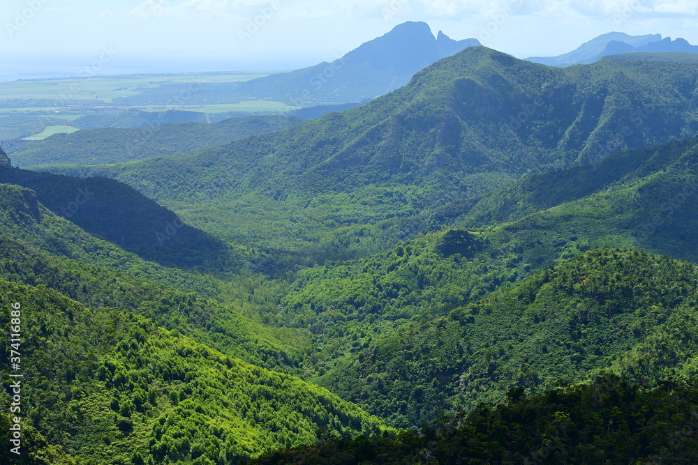 Mauritius scenery. Black river national park