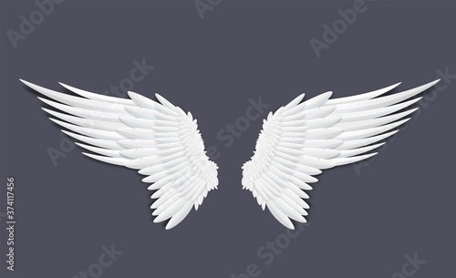 Template of feathers angel or bird wings realistic vector illustration isolated.