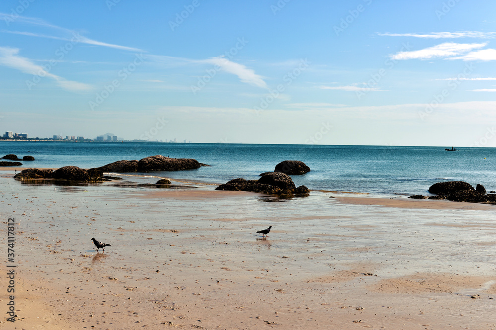 Fototapeta premium Tropical beach, summer sea sunny sky background