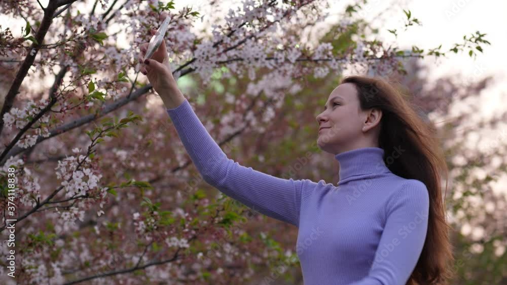Woman take picture or shoot video of sakura tree branch, portrait shot of tourist at Sotobori Park. Attractive young lady hold phone in hand, raise left hand and touch screen to start recording Woman take picture or shoot video of sakura tree branch, portrait shot of tourist at Sotobori Park. Attractive young lady hold phone in hand, raise left hand and touch screen to start recording