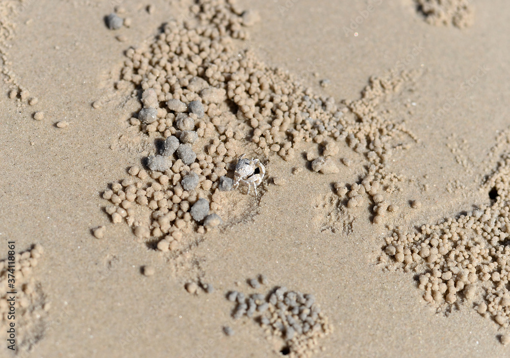 Beach Sand texture. Sandy sea for background. Beach Sand texture. Sandy sea for background.