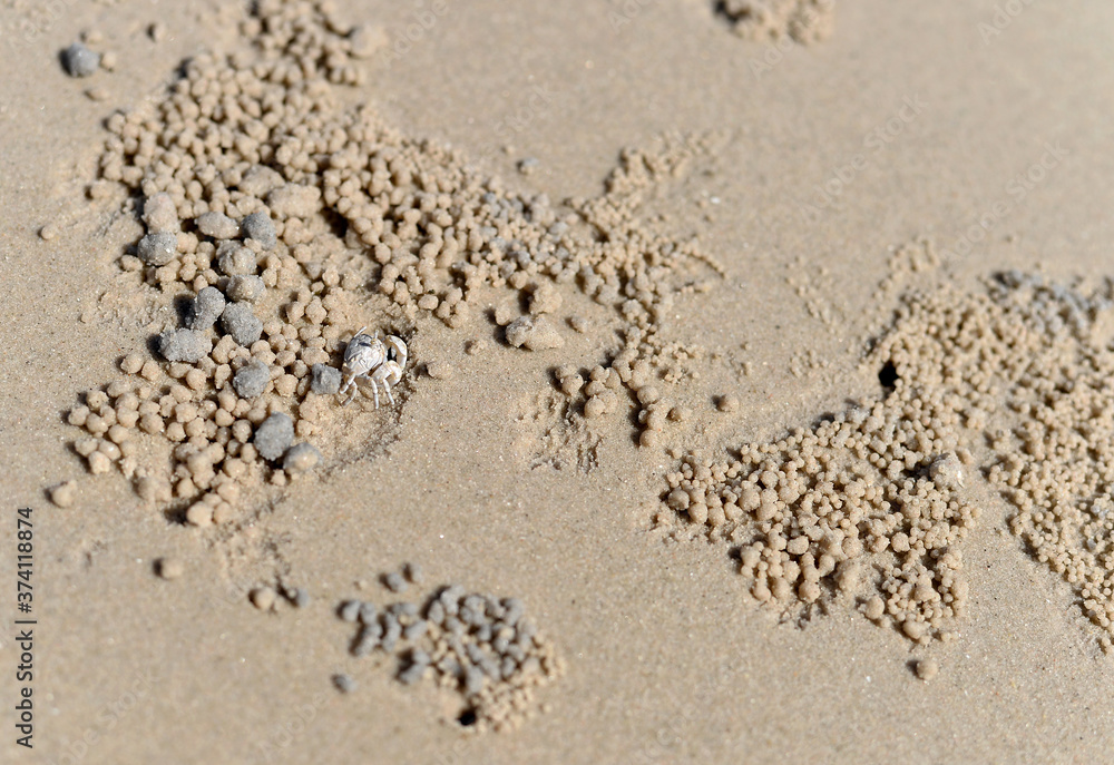 Beach Sand texture. Sandy sea for background. Beach Sand texture. Sandy sea for background.