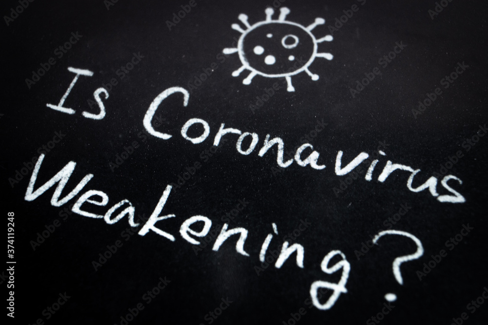 Fototapeta premium Close up of the phrase Is Coronavirus Weakening? by handwriting by white coloured chalk on blackboard. The surface of blackboard is powdery and rough.