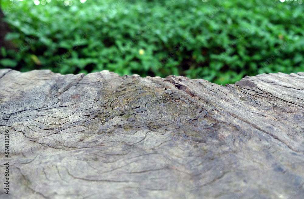 Empty wood table top on blur abstract green from garden in morning background. can be used for display or montage your products Empty wood table top on blur abstract green from garden in morning background. can be used for display or montage your products