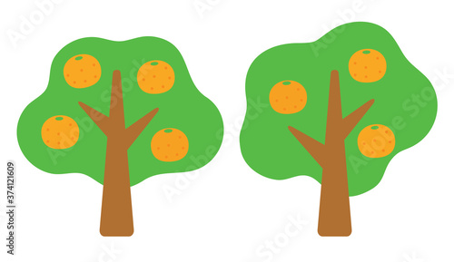 みかんの木　2本