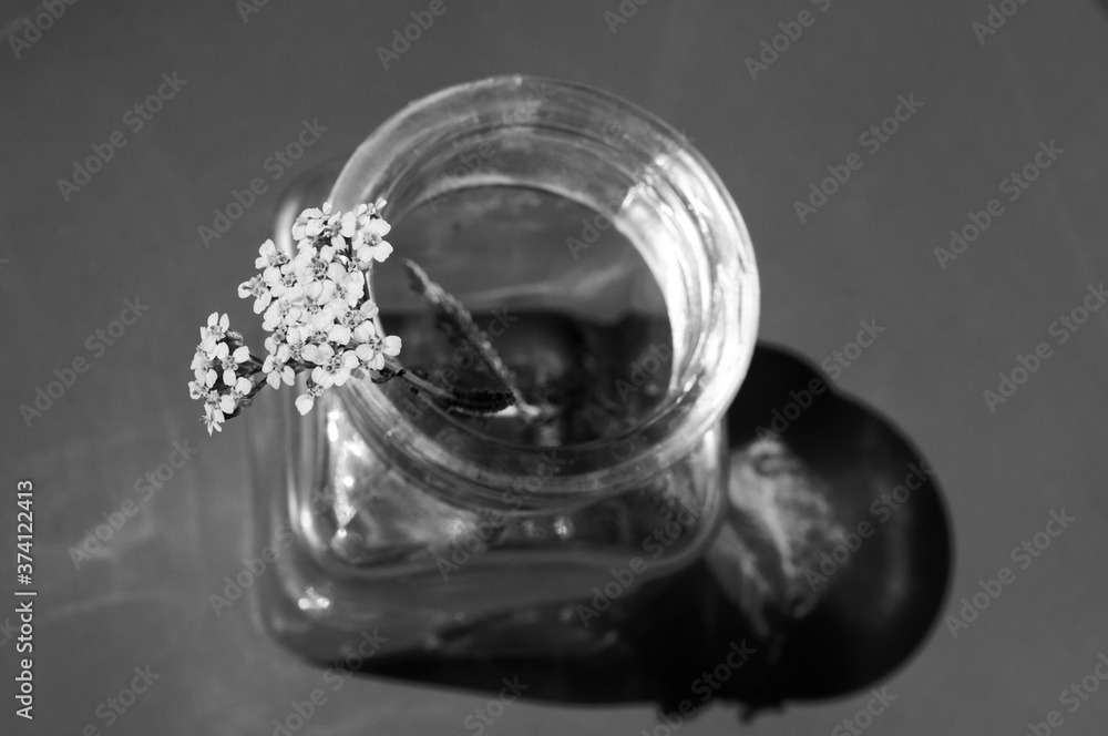 glass jar with a flower on an orange background. minimalism concept glass jar with a flower on an orange background. minimalism concept