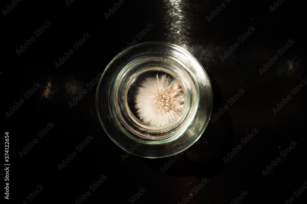 glass jar with a flower on a black background. minimalism concept - obrazy, fototapety, plakaty 