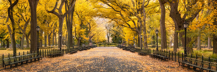 Central Park in autumn, New York City, USA