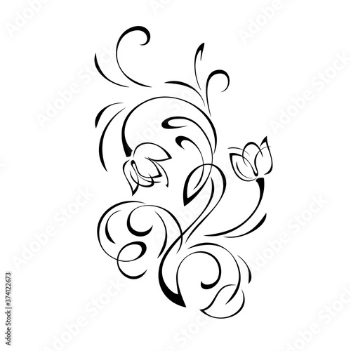 ornament 1284. decorative element with stylized flower buds, leaf and curls in black lines on a white background