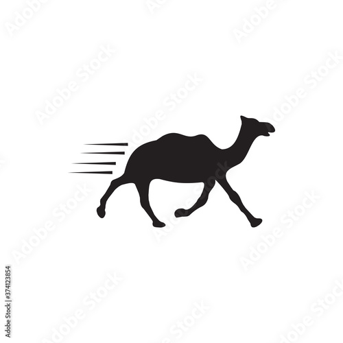 Camel animal logo design template