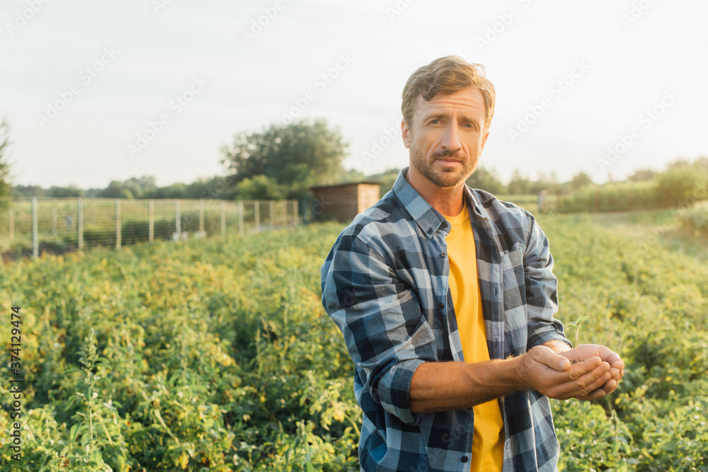 farmer in plaid shirt looking at camera while holding young plant in cupped hands