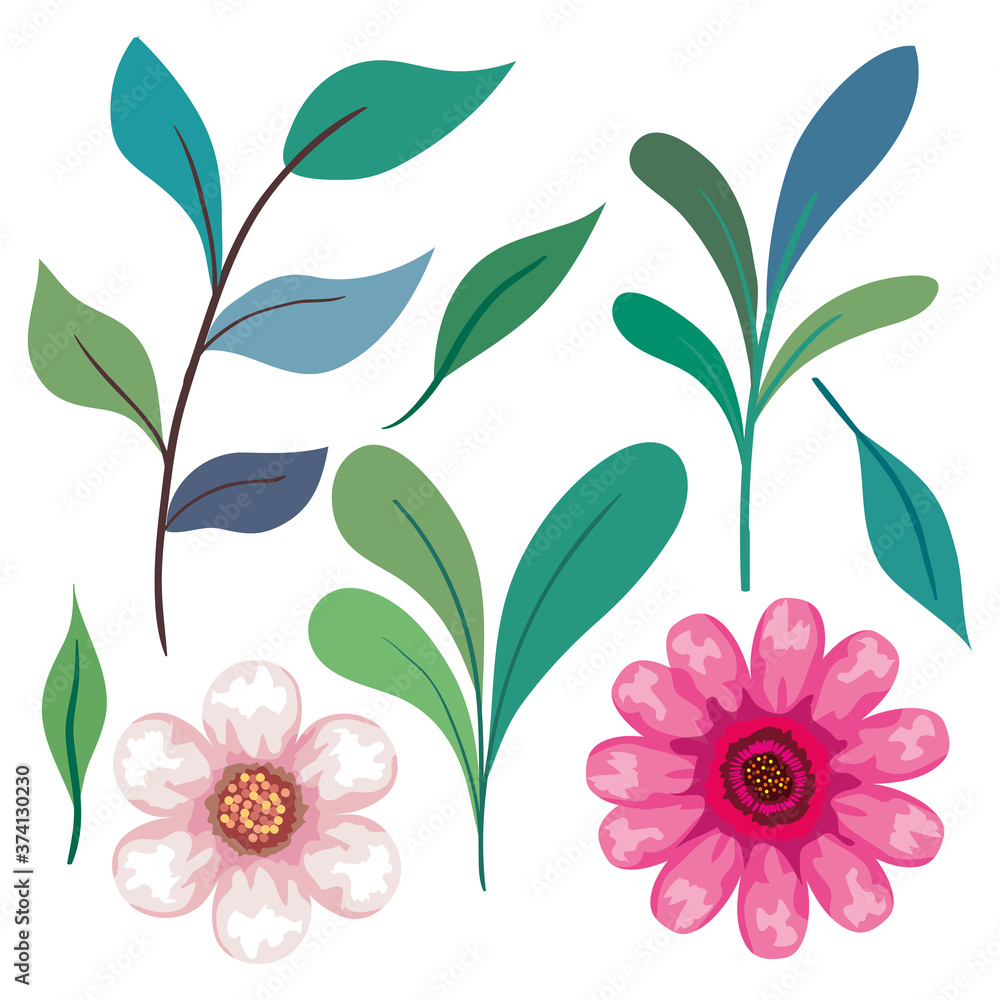 set of cute flowers color pink with branches and leaves vector illustration design