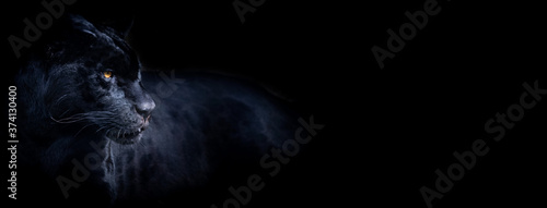 Fényképezés Template of a black panther with a black background