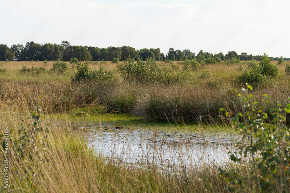Eversmeer Eversmeer