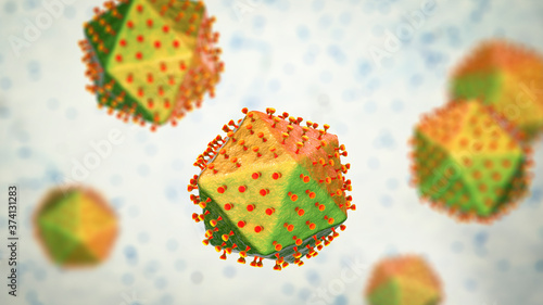 фотографія African swine fever virus