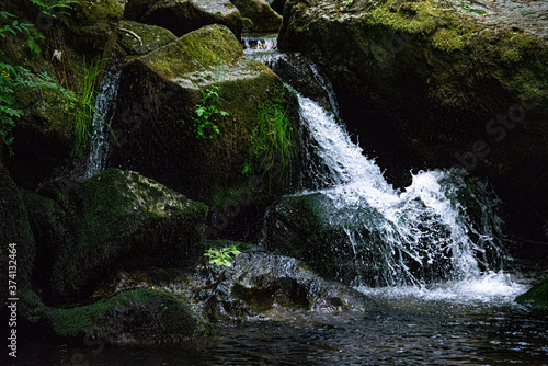 waterfall in the wood austria