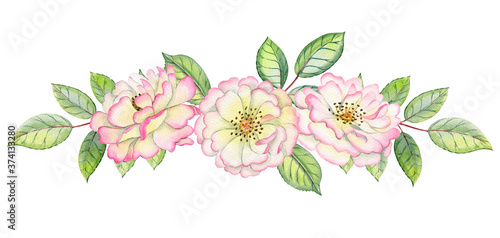 Watercolor hand drawn roses. Can be used as print, poster, postcrad, invitation, greeting card, packaging design, stickers. photo