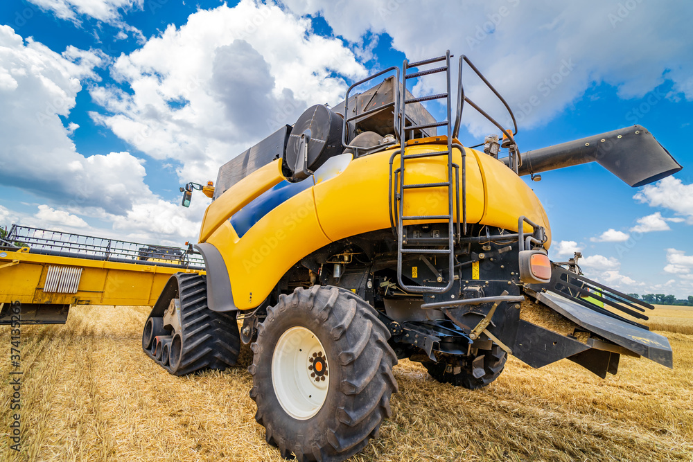 Fototapeta premium Large view on yellow combine. Special technic in field. Modern machinery in gold wheat.