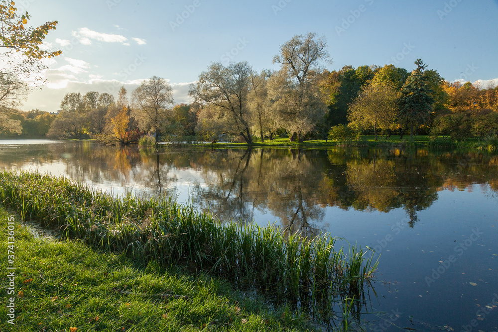 Fototapeta premium Autumn park landscape with bright trees