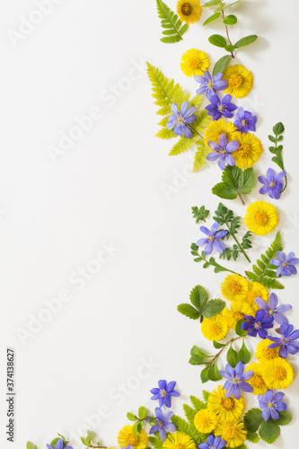 spring yellow and violet  flowers on paper background