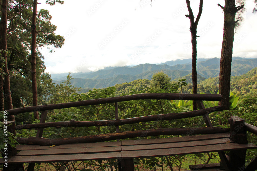 Asia rainforest, winter season, nature landscape.