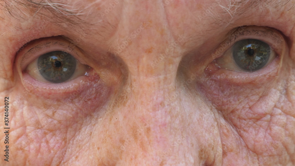 Portrait of senior grandmother looks into camera with amazed facial expression. Mature female face shows surprise emotions. Close up gray eyes of elderly woman with wrinkles around them Portrait of senior grandmother looks into camera with amazed facial expression. Mature female face shows surprise emotions. Close up gray eyes of elderly woman with wrinkles around them
