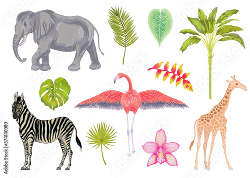 Vector cute realistic illustration of zebra, elephant, flamingo and giraffe with flowers and leaves