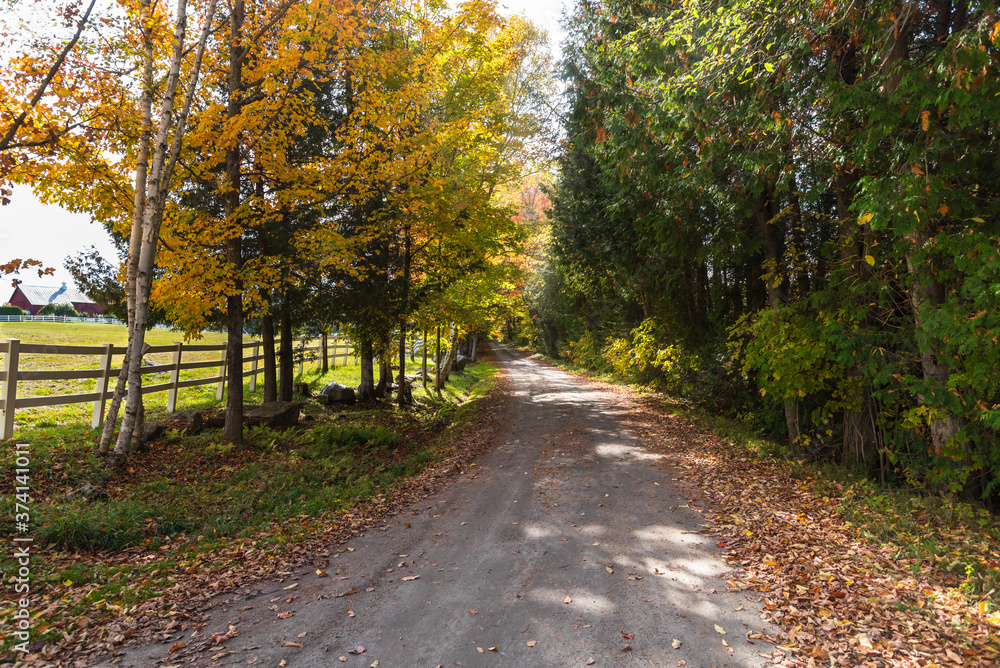 Unpaved country road lined with a fence and deciduous trees on a sunny autumn day. Peacham, VT, USA. Unpaved country road lined with a fence and deciduous trees on a sunny autumn day. Peacham, VT, USA.