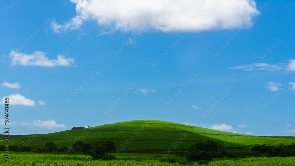 green field and blue sky