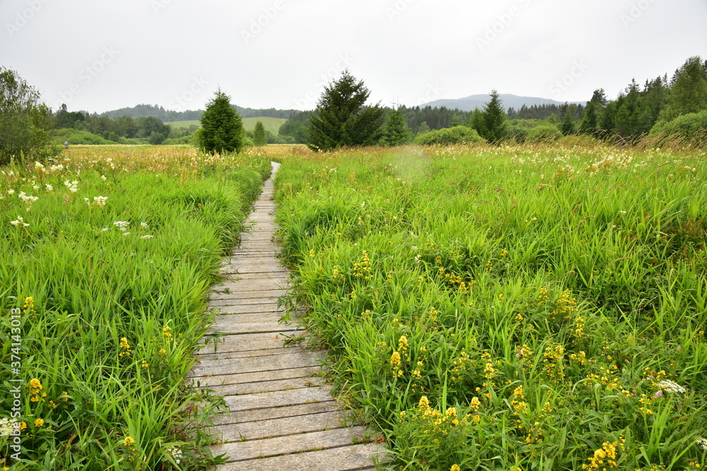 Obraz premium Educational trail Olsina Sumava