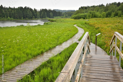 Educational trail Olsina Sumava