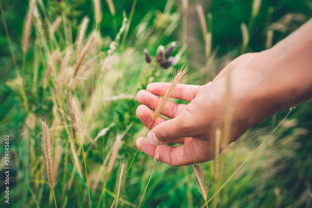 Hand of young woman touching grass Hand of young woman touching grass