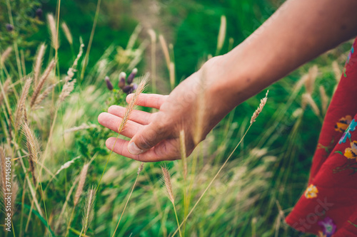 Hand of young woman touching grass