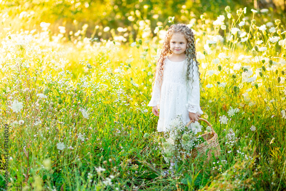 beautiful little girl in a white dress in summer in a yellow field with a basket of flowers beautiful little girl in a white dress in summer in a yellow field with a basket of flowers