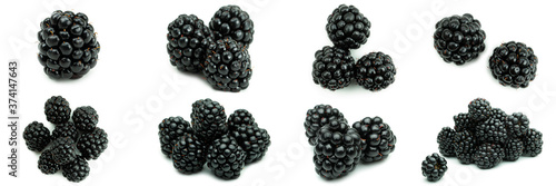 Fresh blackberries on a white background. High quality photo