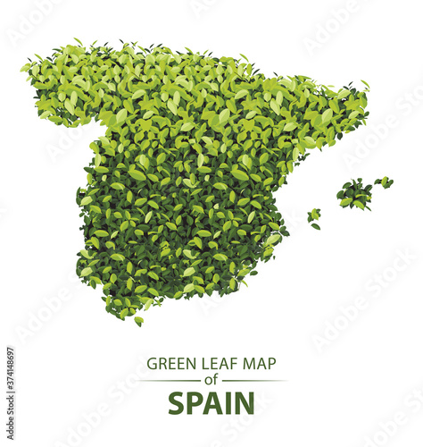 Green leaf map of spain vector illustration of a forest is concept