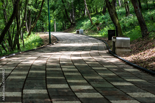 Park walkway with benches in the spring. Cool shaded walking area.