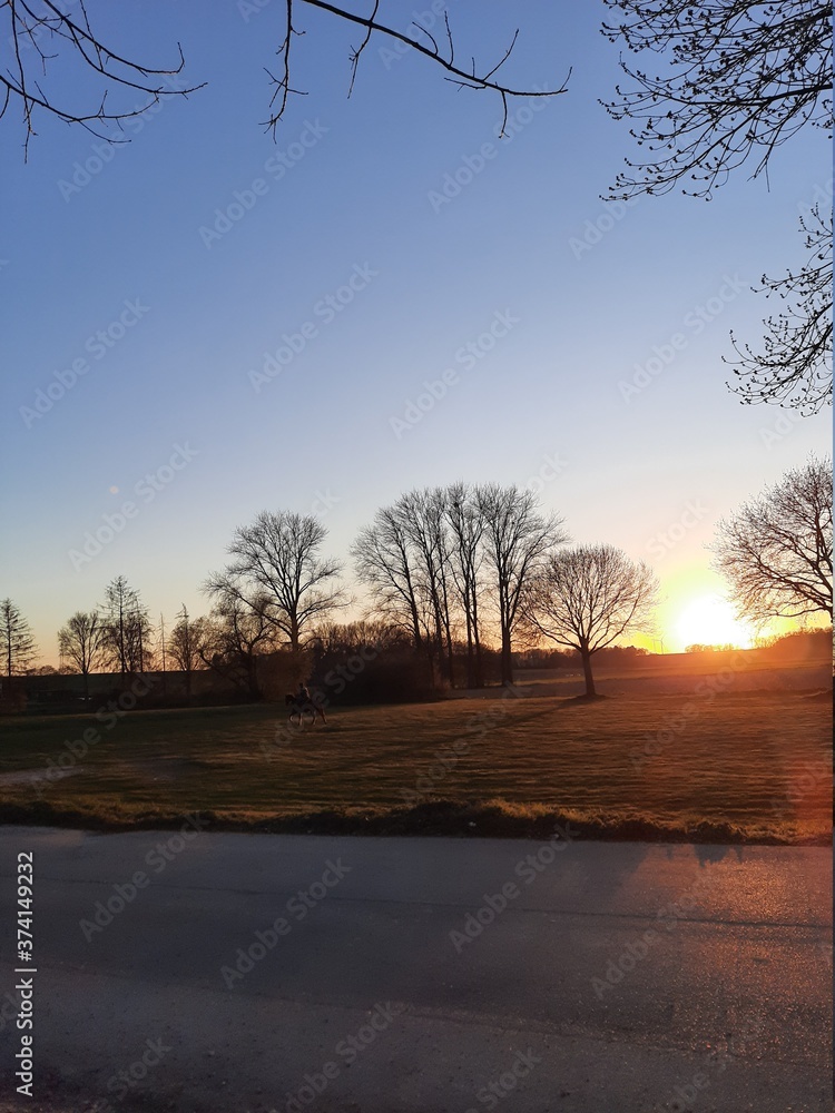 sonnenuntergang, abend, himmel, baum, blau