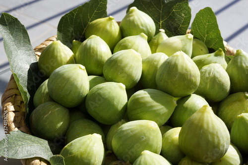 A basket of freshly-picked figs by the Adriatic Sea in Croatia photo