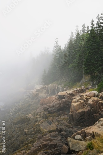 Coastal New England Shore with Large Rocks, Pine Trees and Fog