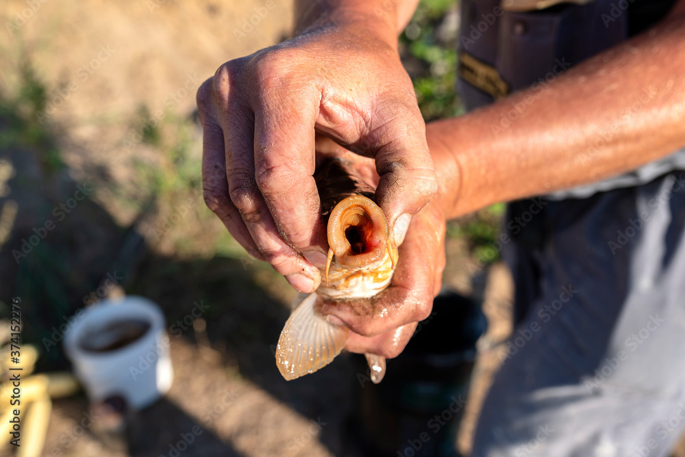 The angler holds the carp with an open mouth, visible fish whiskers and