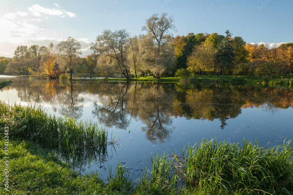 Autumn park landscape with bright trees Autumn park landscape with bright trees
