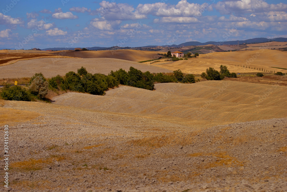 Campos de la toscana
