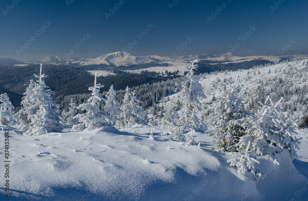 Fototapeta premium Winter mountain landscape