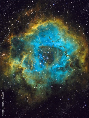 Fototapeta Naklejka Na Ścianę i Meble -  Rosette Nebula